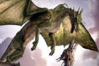 /album/galleria-fotografica/draghi2-1-jpg/